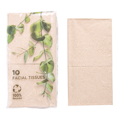 Image 10 U X 10 U. MOUCHOIRS 3 PLIS  21x21 CM NATUREL KRAFT (1 UNITÉ) #3