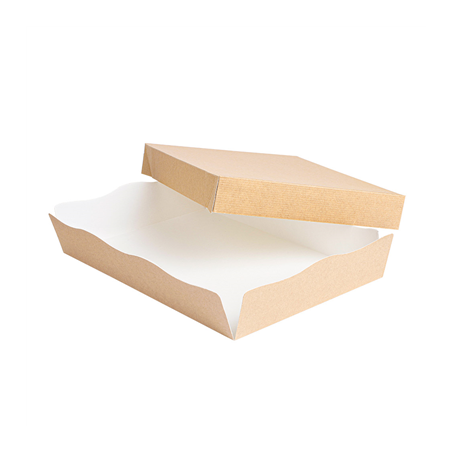 Image PLATEAUX + COUVERCLE 'THEPACK' 240 G/M2 23x17x4,5 CM NATUREL CARTON ONDULÉ NANO-MICRO (200 UNITÉ) #1