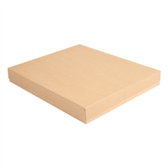 Image PLATEAUX + COUVERCLE 'THEPACK' 240 G/M2 32x27x4 CM NATUREL CARTON ONDULÉ NANO-MICRO (150 UNITÉ) #1
