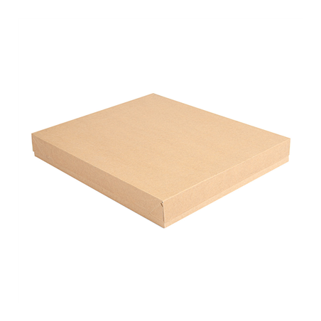Image PLATEAUX + COUVERCLE 'THEPACK' 240 G/M2 32x27x4 CM NATUREL CARTON ONDULÉ NANO-MICRO (150 UNITÉ) #1