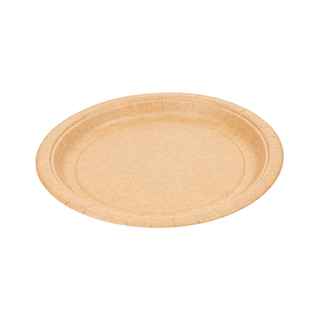 Image ASSIETTES RONDES LAQUÉS  255 G/M2 Ø 26 CM NATUREL CARTON (300 UNITÉ) #1