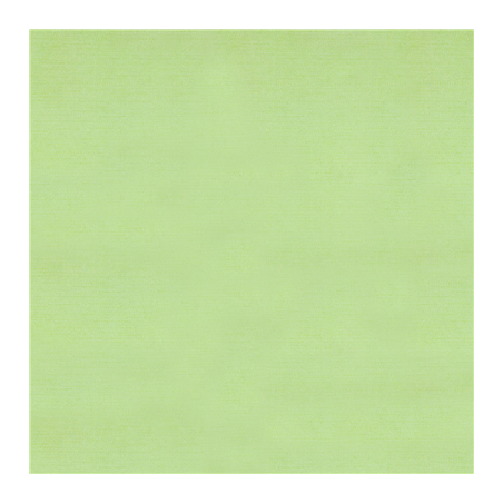 Image NAPPES PLIAGE M 'LIKE LINEN' 70 G/M2 100x100 CM VERT POMME SPUNLACE (200 UNITÉ) #1