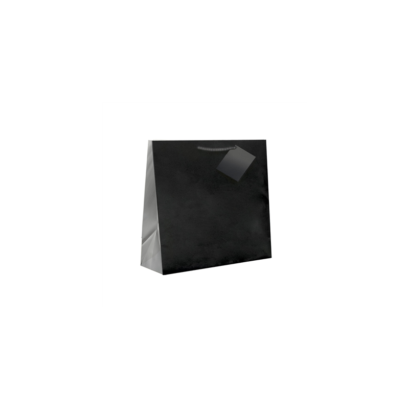 SACS BOUTIQUE ANSES CORDON  150 G/M2 12+7x16 CM NOIR CELLULOSE (100 UNITÉ)