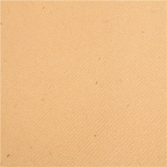 "TÊTE-À-TÊTE" PRÉ. 120CM (20 FEU.) 55 G/M2 0,40x24 M NATUREL AIRLAID (6 UNITÉ)