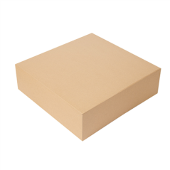 Image BOÎTES PATISSERIES SANS FENÊTRE 'THEPACK' 240 G/M2 32x32x10 CM NATUREL CARTON ONDULÉ NANO-MICRO (100 UNITÉ) #1