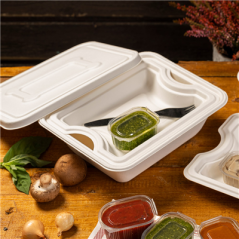 Image COUVERCLES POUR RÉFÉRENCE 253.80 'BIONIC'  23,5x18,9x1,2 CM BLANC BAGASSE (400 UNITÉ) #4