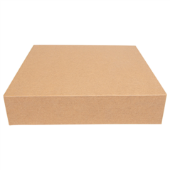 Image RÉCIPIENTS SUSHI 'THEPACK' 220 G/M2 23x23x5 CM MARRON CARTON ONDULÉ NANO-MICRO (300 UNITÉ) #3