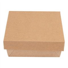 Image PETITES BOÎTES+COUVERCLES 'THEPACK' 500 ML 220 G/M2 + 12PP 12x12x5 CM NATUREL CARTON ONDULÉ NANO-MICRO (250 UNITÉ) #3