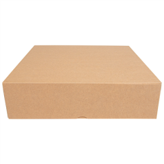 Image BOÎTES PATISSERIES SANS FENÊTRE 'THEPACK' 240 G/M2 30x30x8 CM NATUREL CARTON ONDULÉ NANO-MICRO (100 UNITÉ) #3