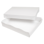 Image PLATEAUX + COUVERCLE 'THEPACK' 230 G/M2 23x17x4,5 CM BLANC CARTON ONDULÉ NANO-MICRO (200 UNITÉ) #4