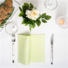Image SERVIETTES P. 1/4 'LIKE LINEN - IPANEMA' 70 G/M2 40x40 CM PISTACHE SPUNLACE (600 UNITÉ) #3