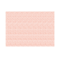 Image SETS DE TABLE 'MIAMI' 48 G/M2 31x43 CM SAUMON CELLULOSE (2000 UNITÉ) #1