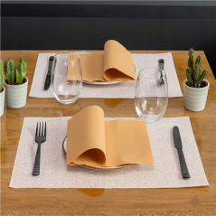 SETS DE TABLE 'MIAMI' 48 G/M2 31x43 CM SAUMON CELLULOSE (2000 UNITÉ)