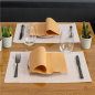 Image SETS DE TABLE 'MIAMI' 48 G/M2 31x43 CM SAUMON CELLULOSE (2000 UNITÉ) #2