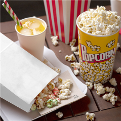 SACS SOS SANS ANSES 60 G/M2 14+8x24 CM BLANC PARCH.INGRAISSABLE (500 UNITÉ)