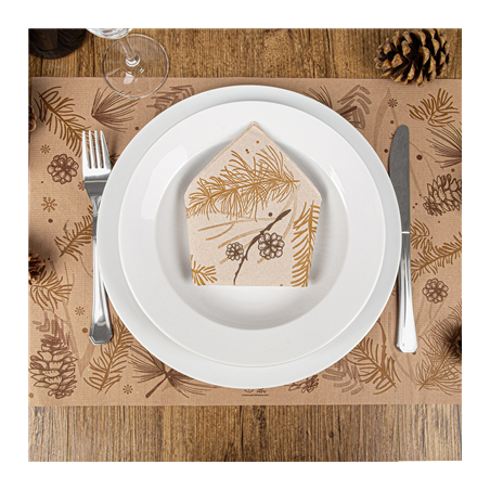 SERVIETTES "DOUBLE POINT" ECOLABEL 'WINTER' 19 G/M2 40x40 CM NATUREL OUATE RECYCLÉE (1200 UNITÉ)