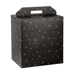 Image BOÎTES BOUTEILLES/AUTRES 'CONSTELLATION'  28x20x35 CM NOIR CARTON (50 UNITÉ) #1