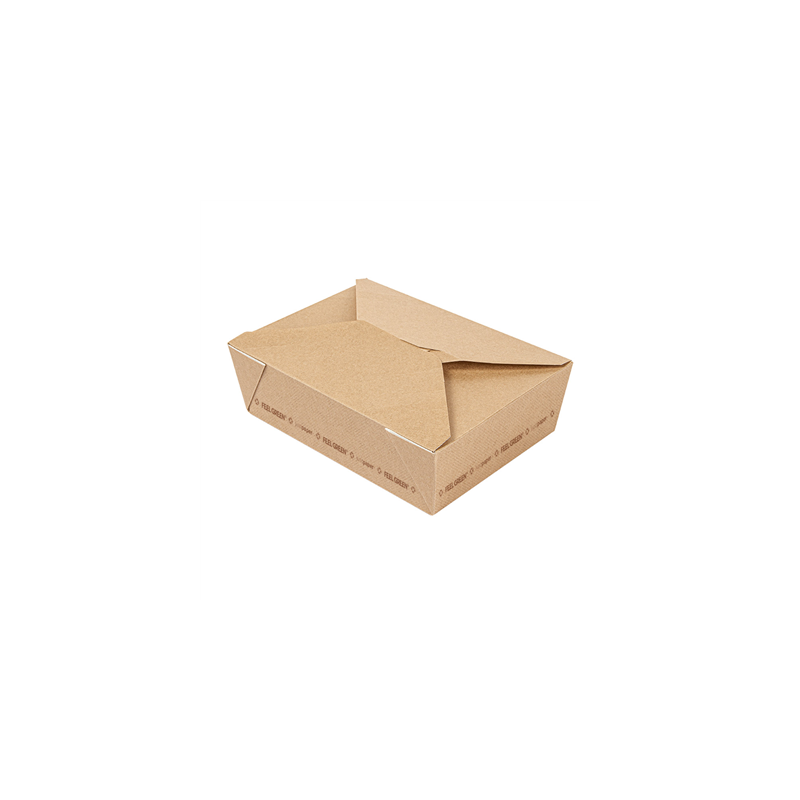 BOÎTES AMÉRICAINES MICRO-ONDABLES 'THEPACK' 1980 ML 240 G/M2 19,6x14x6,2 CM NATUREL CARTON ONDULÉ NANO-MICRO (200 UNITÉ)