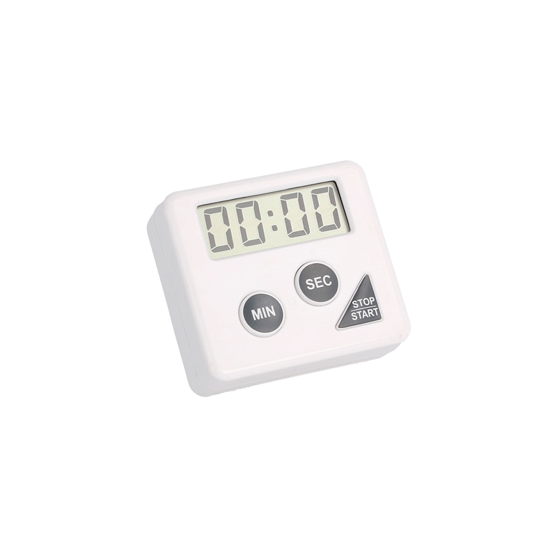 TEMPORISATEUR ÉLECTRIQUE 60'  6x5,5x2 CM BLANC PLASTIQUE (1 UNITÉ)