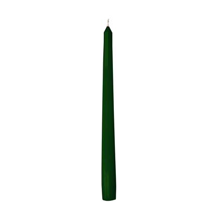 Image 2 U. BOUGIES  Ø2x25 CM VERT CIRE (1 UNITÉ) #1