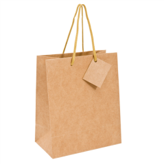 Image SACS BOUTIQUE ANSES CORDON  120 g/m2 40+15x50 CM NATUREL KRAFT (10 UNITÉ) #1