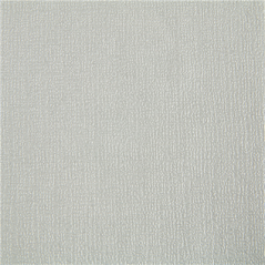 Image NAPPES PLIAGE M  48 G/M2 80x80 CM ARGENTE CELLULOSE (200 UNITÉ) #1