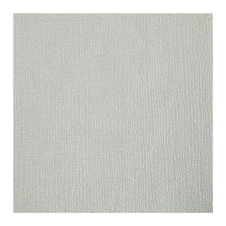 Image NAPPES PLIAGE M  48 G/M2 80x80 CM ARGENTE CELLULOSE (200 UNITÉ) #1