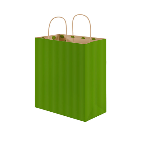 Image SACS SOS AVEC ANSES - INT. "À POIS"  80 G/M2 26+14x32 CM VERT KRAFT (250 UNITÉ) #1