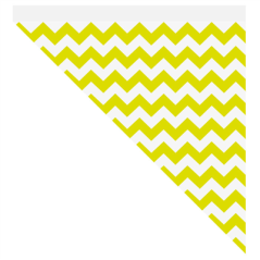 Image CORNETS 600 G - LISERÉ CITRUS  70 G/M2 42x29 CM LIME PARCH.INGRAISSABLE (1000 UNITÉ) #1