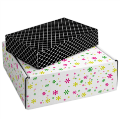 20 U BOÎTES PRÉSENTATION 436 G/M2 28,6x17,6x6,5 CM CARTON (1 UNITÉ)