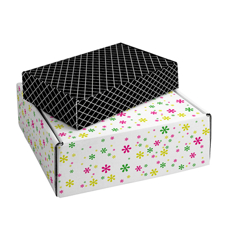 20 U BOÎTES PRÉSENTATION  436 G/M2 28,6x17,6x6,5 CM CARTON (1 UNITÉ)