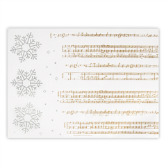 Image SETS DE TABLE 'SNOW' 48 G/M2 31x43 CM BLANC CELLULOSE (2000 UNITÉ) #1