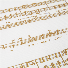 SETS DE TABLE 'SNOW' 48 G/M2 31x43 CM BLANC CELLULOSE (2000 UNITÉ)