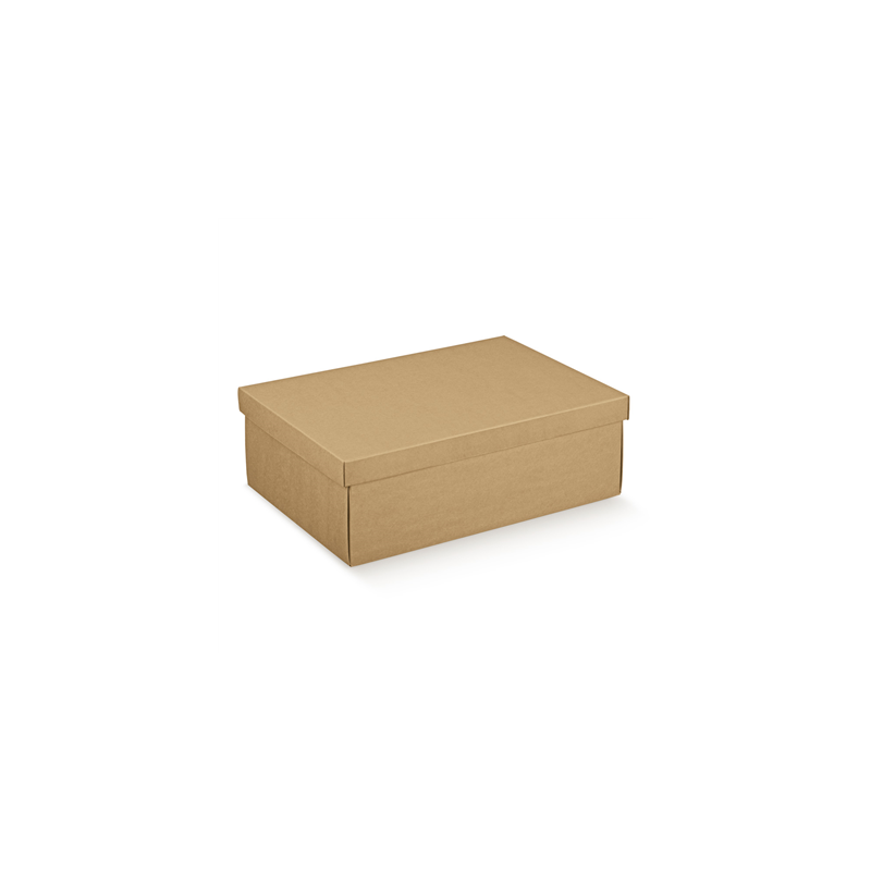 10 U. BOÎTES RECTANGULAIRES 45,5x32x15 CM NATUREL KRAFT (1 UNITÉ) 10 U. BOÎTES RECTANGULAIRES 45,5x32x15 CM NATUREL KRAFT (1 UNITÉ)