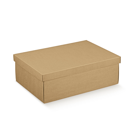 Image 10 U. BOÎTES RECTANGULAIRES  45,5x32x15 CM NATUREL KRAFT (1 UNITÉ) #1