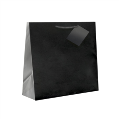 Image SACS BOUTIQUE ANSES CORDON 150 G/M2 19+10x27 CM NOIR CELLULOSE (100 UNITÉ) #1