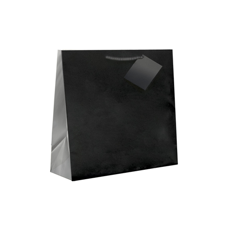 Image SACS BOUTIQUE ANSES CORDON  150 G/M2 19+10x27 CM NOIR CELLULOSE (100 UNITÉ) #1