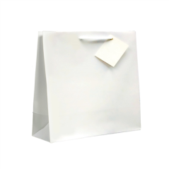 Image SACS BOUTIQUE ANSES CORDON 19+10x27 CM BLANC CELLULOSE (100 UNITÉ) #1