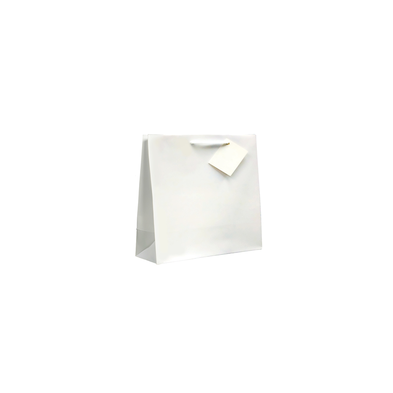 SACS BOUTIQUE ANSES CORDON  19+10x27 CM BLANC CELLULOSE (100 UNITÉ)