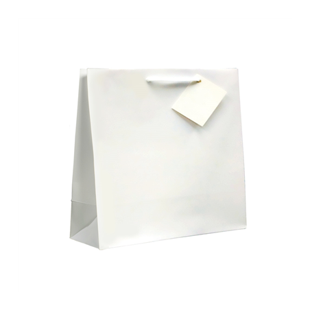 Image SACS BOUTIQUE ANSES CORDON  19+10x27 CM BLANC CELLULOSE (100 UNITÉ) #1