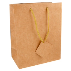 Image 10 U. SACS BOUTIQUE ANSES CORDON 175 G/M2 18+10x22,7 CM NATUREL KRAFT (1 UNITÉ) #1