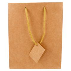 10 U. SACS BOUTIQUE ANSES CORDON 175 G/M2 18+10x22,7 CM NATUREL KRAFT (1 UNITÉ)