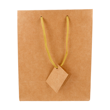 10 U. SACS BOUTIQUE ANSES CORDON  175 G/M2 18+10x22,7 CM NATUREL KRAFT (1 UNITÉ)