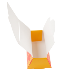 Image BOITE POUR RAISINS CHANCE   CARTON (100 UNITÉ) #3