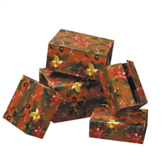 Image 25 CHRISTMAS BOX  55x39x30 CM ASSORTI CARTON (1 UNITÉ) #1