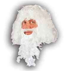 Image PERRUQUE "PÈRE NOËL"   BLANC (1 UNITÉ) #1