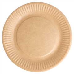 Image ASSIETTES RONDES EN RELIEF BIO-LAQUÉES  260 G/M2 Ø 18 CM NATUREL CARTON (400 UNITÉ) #3