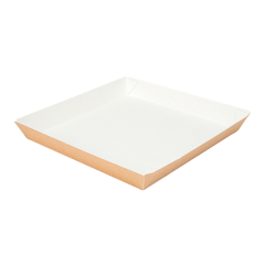 Image ASSIETTES 'THEPACK' 245 G/M2 23x23x2,9 CM NATUREL CARTON ONDULÉ NANO-MICRO (400 UNITÉ) #1