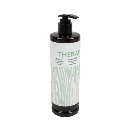 Image SHAMPOOING 'THERAPY' 400 ML (20 UNITÉ) #1
