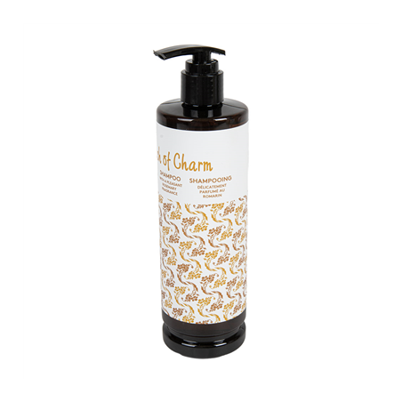 SHAMPOOING 'TOUCH OF CHARM' 400 ML (20 UNITÉ)